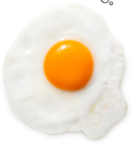 egg